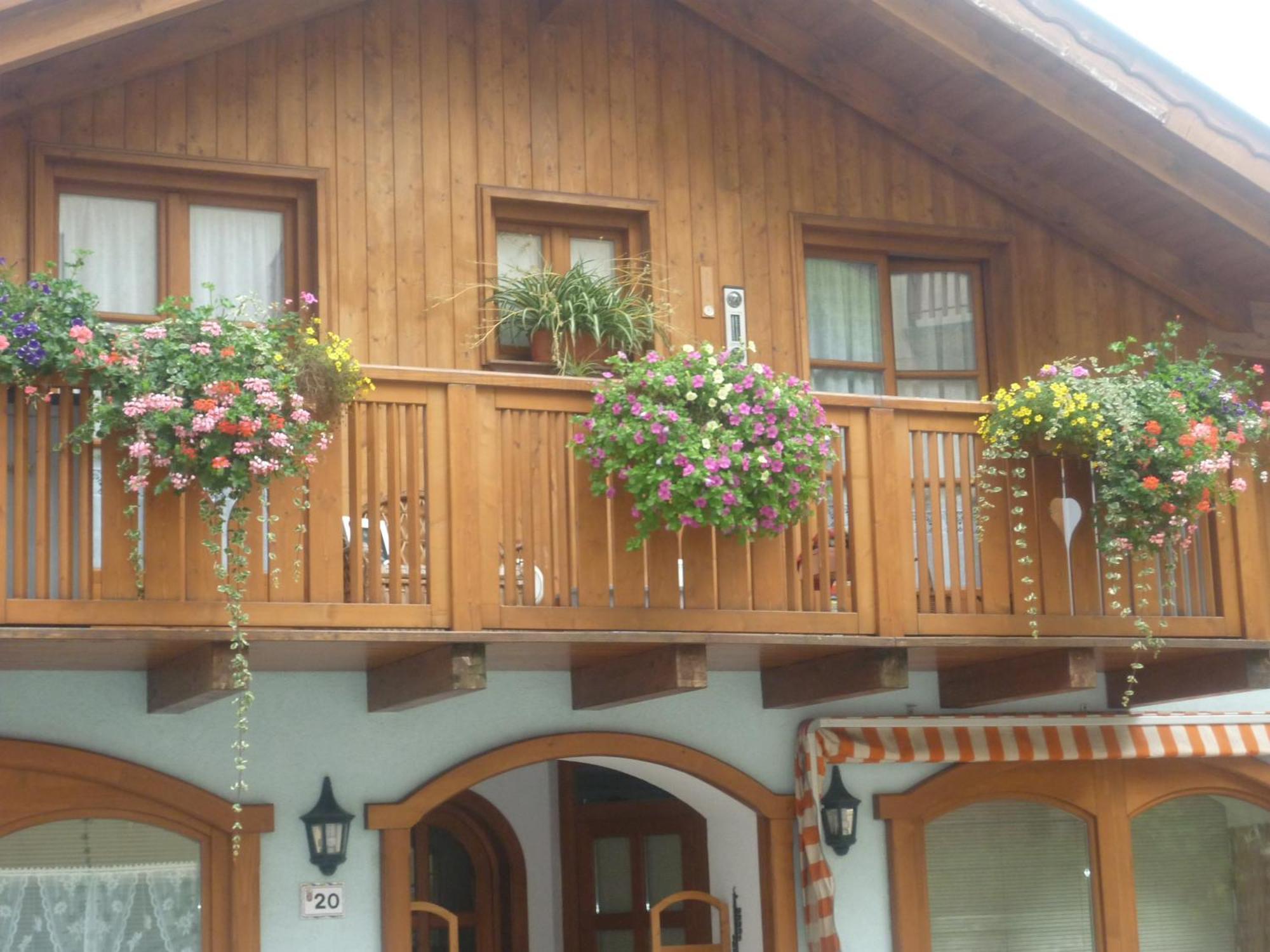Appartamenti -Casa Nicolussi- Molveno Exterior photo